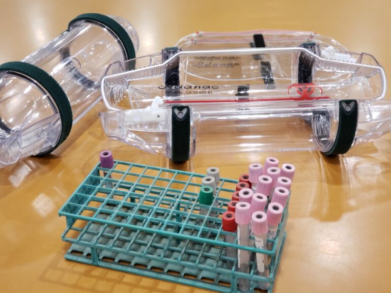 Pneumatic tube capsule